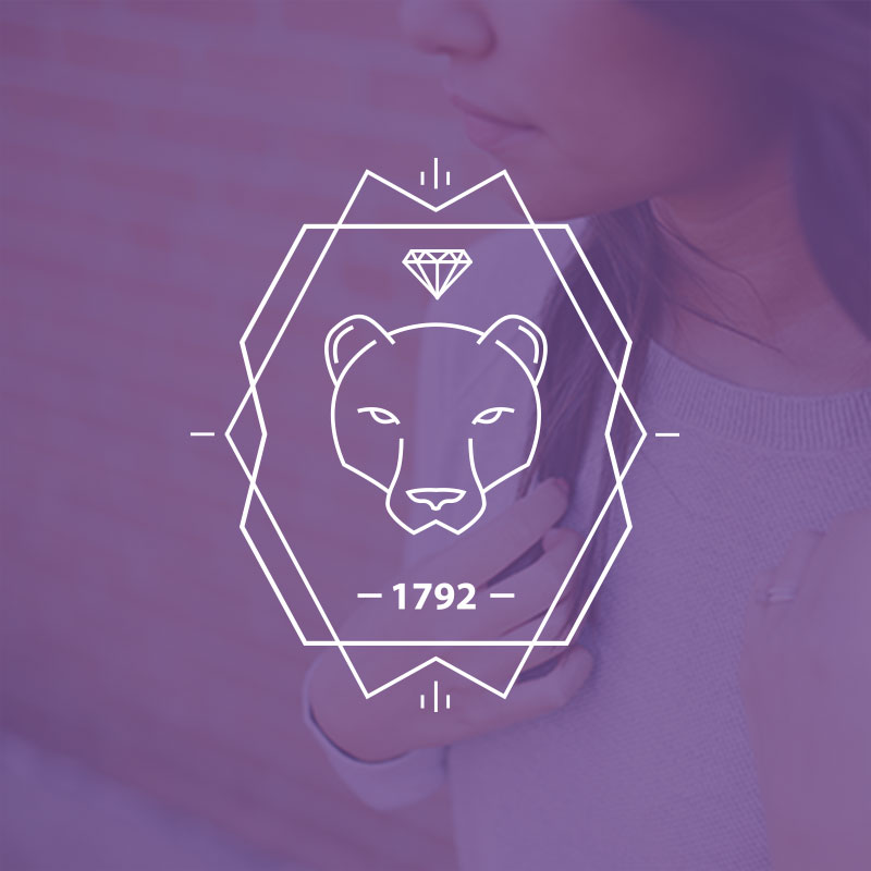 BearDiamond Logo